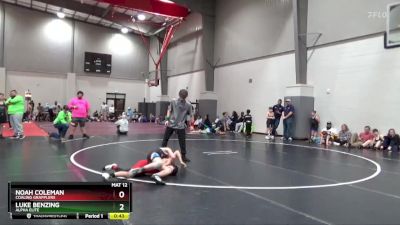 90 lbs Quarterfinal - Noah Coleman, Coaling Grapplers vs Luke Benzing, Alpha Elite