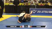 Lillian Tran vs Catherine L. Carr 2025 World IBJJF Jiu-Jitsu No-Gi Championship