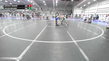 112 lbs Rr Rnd 3 - Anthony Mendez, Demolition Elite vs Colton Meixner, TNWC Blue