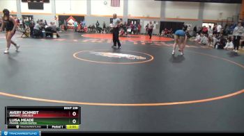 170 lbs Semifinal - Avery Schmidt, Wahlert, Dubuque vs Luisa Meade, Prairie, Cedar Rapids