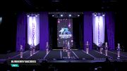 Burberry Baddies [2026 Day 1 Youth] 2026 Next Level Grand Nationals