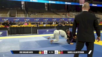 Eric Garland Hayes vs Darrell Allan Peterson 2026 IBJJF Orlando Summer Open