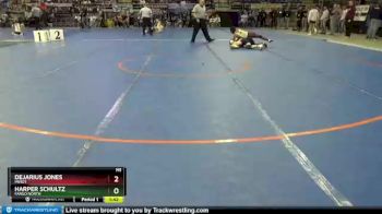160 lbs Champ. Round 1 - DeJarius Jones, Minot vs Harper Schultz, Fargo North