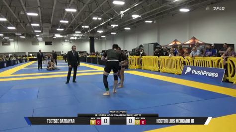 Hector Luis Mercado Jr vs Tsetsee Batbayar 2026 Pan IBJJF Jiu-Jitsu No-Gi Championship