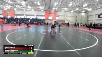 133 lbs Cons. Round 4 - John Schneider, Williams College vs Gabe Scalise, RIT