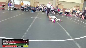 60 lbs Round 3 (8 Team) - Bradley Crowe, Soddy Daisy WA vs Roman Rodriguez, Dendy Trained