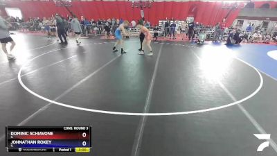 138 lbs Cons. Round 3 - Dominic Schiavone, IL vs Johnathan Rokey, IL