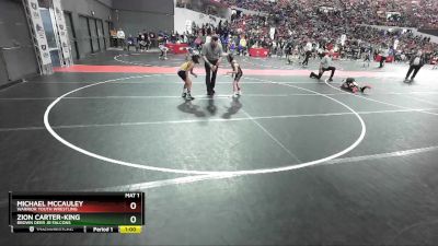 69 lbs Cons. Round 2 - Michael McCauley, Warrior Youth Wrestling vs Zion Carter-King, Brown Deer Jr Falcons
