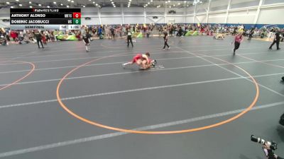 110 lbs Semifinal - Anthony Alonso, Unattached vs Dominic Jacobucci, Westshore