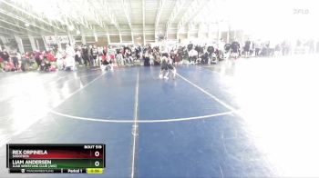 52 lbs Semifinal - Rex Orpinela, Shootbox vs Liam Andersen, Juab Wrestling Club (JWC)