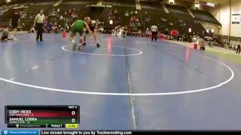 165 lbs Finals (2 Team) - Cody Hicks, Fort Hays State vs Samuel Loera, Adams State