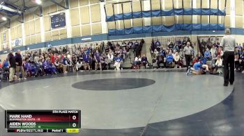 126 lbs Placement (16 Team) - Aiden Woods, Franklin Community vs Mark Hand, Bloomington South