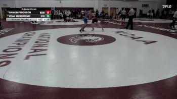 165 lbs Champ. Round 1 - Damon Ferguson, MSU Moorhead vs Ryan Muslimovic, Luther
