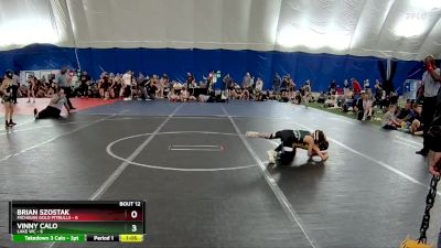 56 lbs Round 4 (6 Team) - Brian Szostak, Michigan Gold Pitbulls vs Vinny Calo, Lake WC