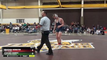 197 lbs Semifinal - Stephen Andryc, Case Western Reserve vs Braydon Herbster, Thiel College