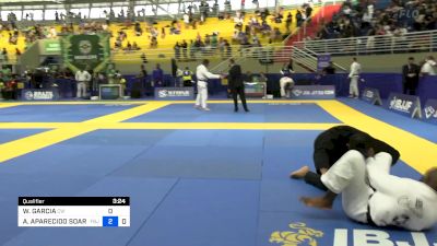 WELLINGTON GARCIA vs ALEX APARECIDO SOARES 2024 Brasileiro Jiu-Jitsu IBJJF