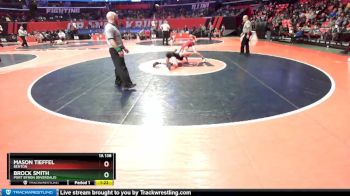 1A 138 lbs Quarterfinal - Brock Smith, Port Byron (Riverdale) vs Mason Tieffel, Benton