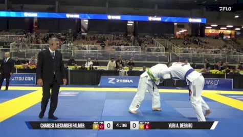 Yuri A. DeBrito vs Charles Alexander Palmer 2025 Pan Jiu Jitsu IBJJF Championship