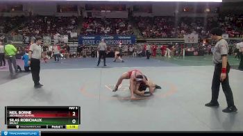 D 2 170 lbs Quarterfinal - Silas Robichaux, Brusly vs Neil Borne, Archbishop Rummel