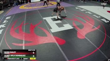 Quarterfinal - Quinn Bailey, Chadron vs Ulises Avila Dominguez, Madison