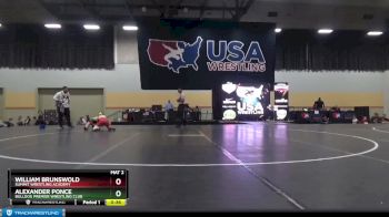 86 lbs Quarterfinal - Alexander Ponce, Bulldog Premier Wrestling Club vs William Brunswold, Summit Wrestling Academy