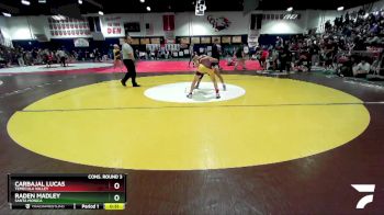 106 lbs Cons. Round 3 - Carbajal Lucas, Temecula Valley vs Raden Madley, Santa Monica