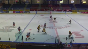 Replay: Home - 2023 Penguins U12 vs Little Caesars U1 | Nov 24 @ 10 AM