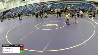 14U Girls - 120 lbs Cons. Semis - Ryan Gallagher, Viking Wrestling Club vs Grayson Richburg, Maryland