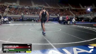 D1-190 lbs Cons. Round 1 - Drew Caudle, Gila Ridge vs Luis Flores Celaya, Mountain View Hs (Mesa)