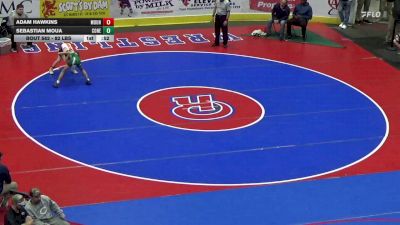 82 lbs Consi Of 32 #1 - Adam Hawkins, Mountain View vs Sebastian Moua, Conestoga Valley