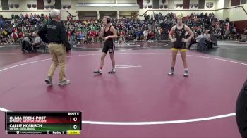 115 lbs Round 1 - Olivia Tobin-Post, Epworth, Western Dubuque vs Callie Nosbisch, Vinton-Shellsburg