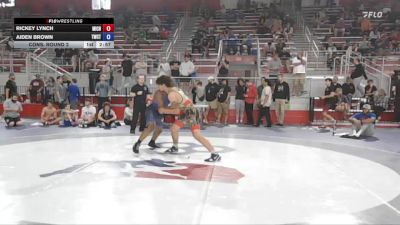165 lbs Cons. Round 2 - Rickey Lynch, Michigan vs Aiden Brown, Tiger Wrestling Club - TPW4