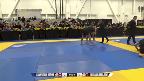 Elioenai Julio De S. Braz vs Shawn Paul Hoehne 2024 World IBJJF Jiu-Jitsu No-Gi Championship