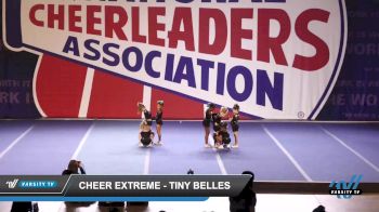 Cheer Extreme - Tiny Belles [2023 L1.1 Tiny - PREP Day 1] 2023 NCA Concord Classic