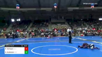 49 lbs Consolation - Reynaldo Gallegos, Nm Gold vs Slayten Anderson, Patriot WC