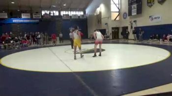 141 lbs Semifinal - Sean Johnson, American Int`l vs Joel Cawoski, Seton Hill