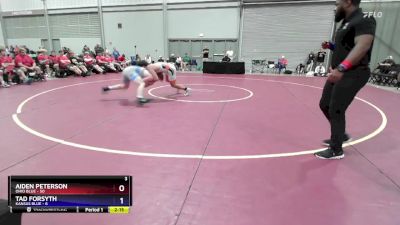 175 lbs Quarters & 1st Wb (16 Team) - Aiden Peterson, Ohio Blue vs Tad Forsyth, Kansas Blue