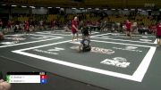 David Santos vs Kauã Gabriel 2024 ADCC South American Trials 1