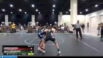 110 lbs Round 5 (6 Team) - Landon Quiroga, Team Florida Gold vs Nikita Chechkovsky, North Florida Misfits