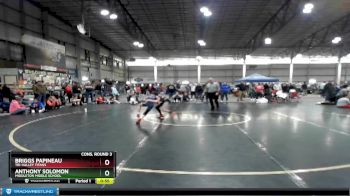 80 lbs Cons. Round 3 - Anthony Solomon, Middleton Middle School vs Briggs Papineau, Tri-Valley Titans