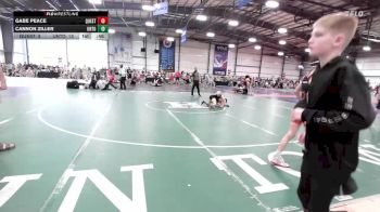 75 lbs Rr Rnd 3 - Gabe Peace, Quest School Of Wrestling ES vs Cannon Ziller, Untouchables