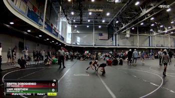 76 lbs Round 5 (10 Team) - Griffin Doroshenko, Mat Assassins vs Liam Merithew, Brawler Elite