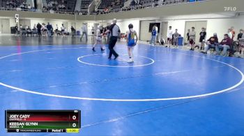85 lbs Quarterfinals (8 Team) - Keegan Glynn, Waseca vs Joey Cady, Chatfield