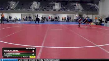 65 lbs Semifinal - Anthony Nytes, LSH (LeSueur/Henderson) vs Garrett Christen, Holdingford