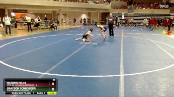 85 lbs Semis & 1st Wrestleback (8 Team) - Maddex Mills, STMA (St. Michael/Albertville) vs Grayson Schroeder, Z-M (Zumbrota/Mazeppa)