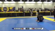 Rochelle L Wilgenbusch vs Jacqueline Ann Hughes 2024 World IBJJF Jiu-Jitsu No-Gi Championship