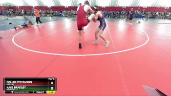 138 lbs Placement (16 Team) - Collin Stevenson, Lodi vs Kase Bradley, Denmark