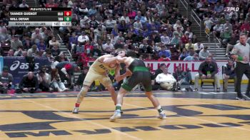 133 lbs Final - Tanner Guenot, Bald Eagle Area vs Will Detar, Trinity*