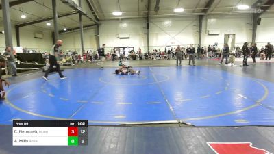 84 lbs Final - Christopher Nemcovic, Morris Fitness Wrestling Club - (A) vs Americah Mills, Roundtree Wrestling Academy