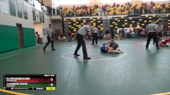 132 lbs Semifinal - Cameron Davis, CHIPPEWA vs AJ Rickenbacher, WOODRIDGE